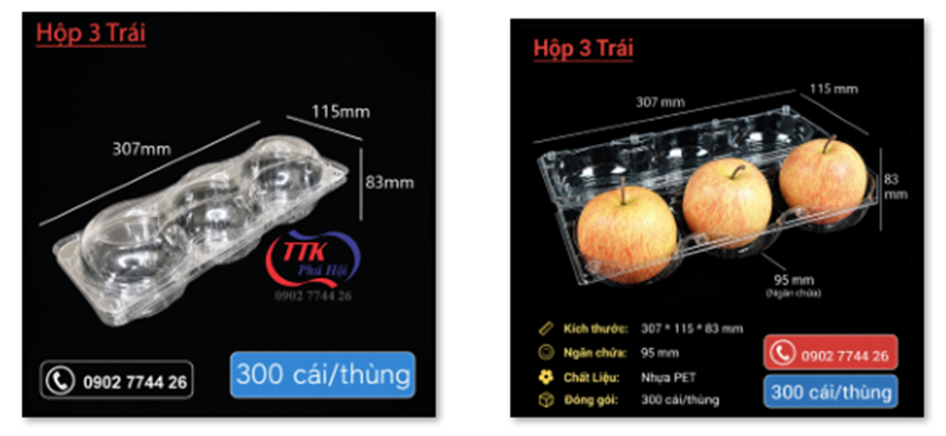 Hộp đựng trái cây tại TPHCM