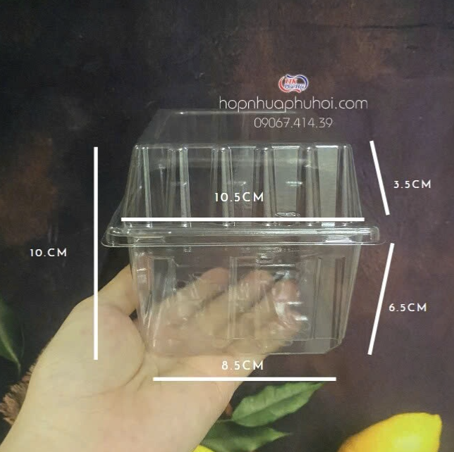 Hộp nhựa đựng bánh ngọt mini 
