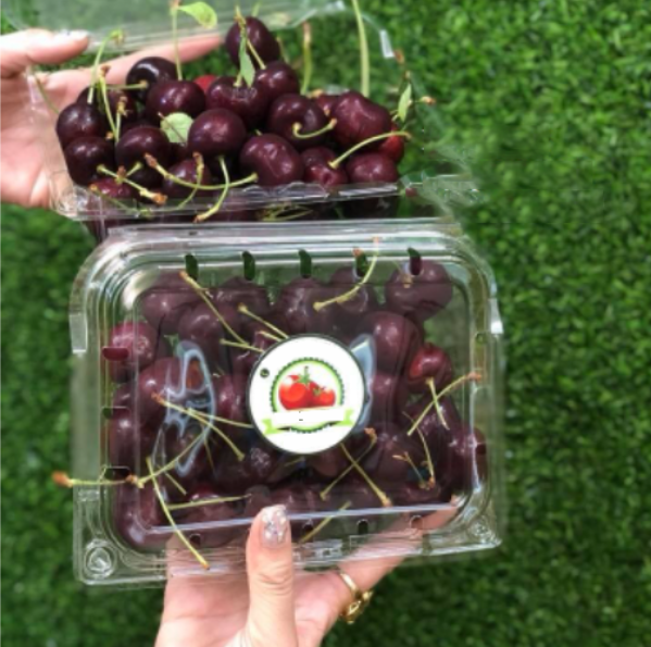 Hộp nhựa đựng cherry