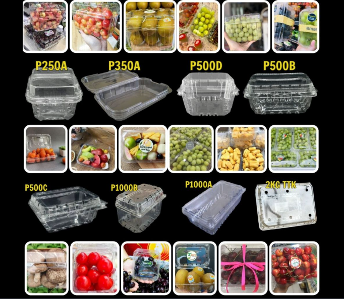 Hộp nhựa đựng dâu tây tại TP HCM
