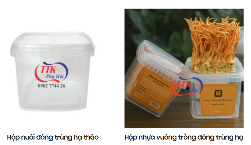 Hộp nhựa đựng đồ ăn