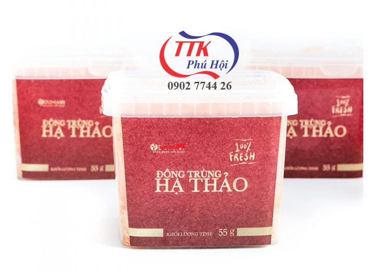 Hộp nhựa đựng đông trùng hạ thảo khô, tươi