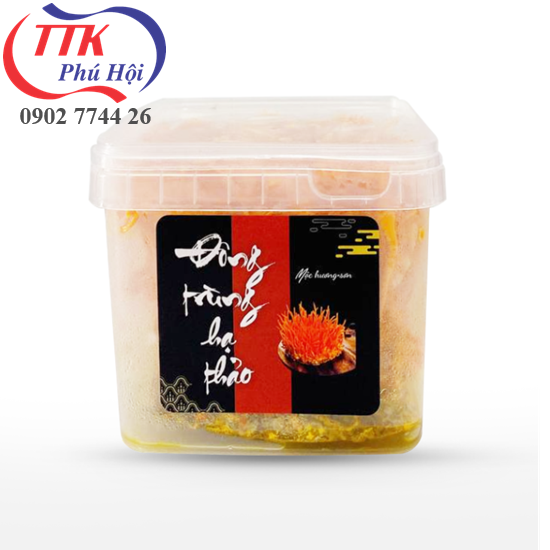 Hộp nhựa đựng đông trùng hạ thảo khô, tươi