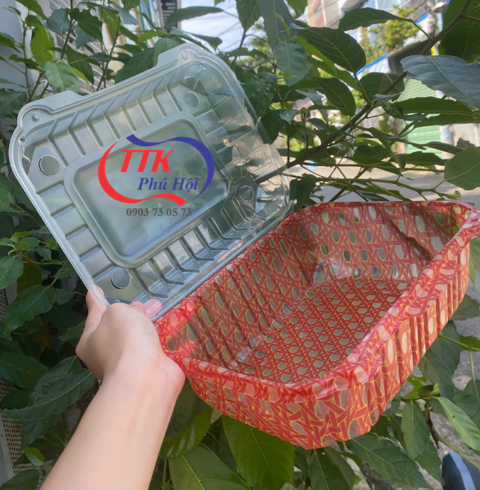 Hộp nhựa đựng gà, vịt, kim chi, sang trọng