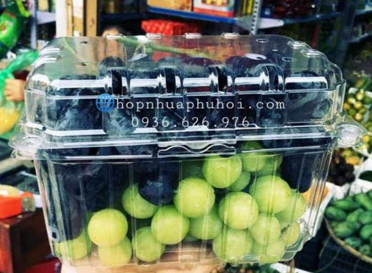 Hộp nhựa đựng nho giá rẻ