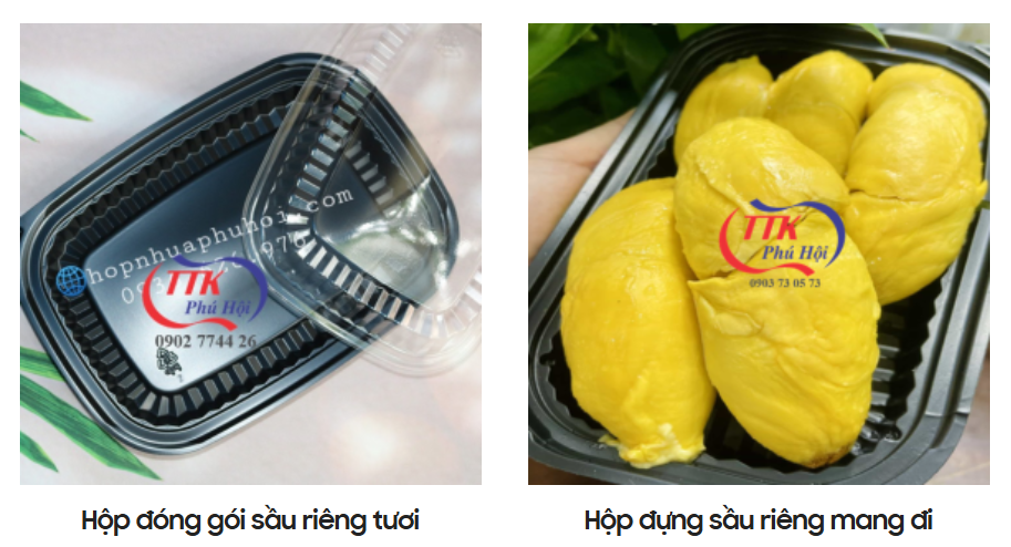 Hộp nhựa đựng thức ăn