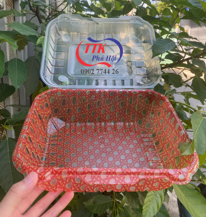 Hộp nhựa đựng thực phẩm giá rẻ