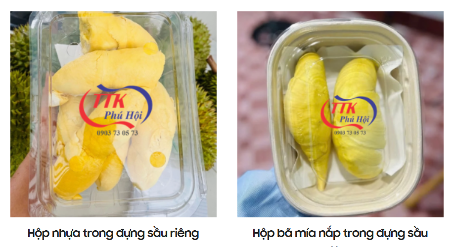 Hộp nhựa đựng thực phẩm giá rẻ