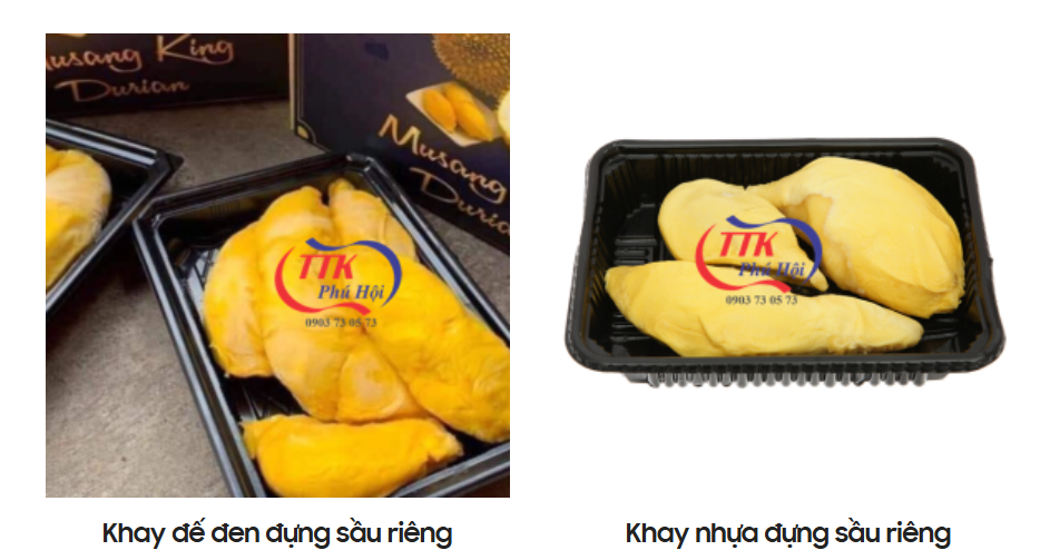 Hộp nhựa đựng thực phẩm giá rẻ
