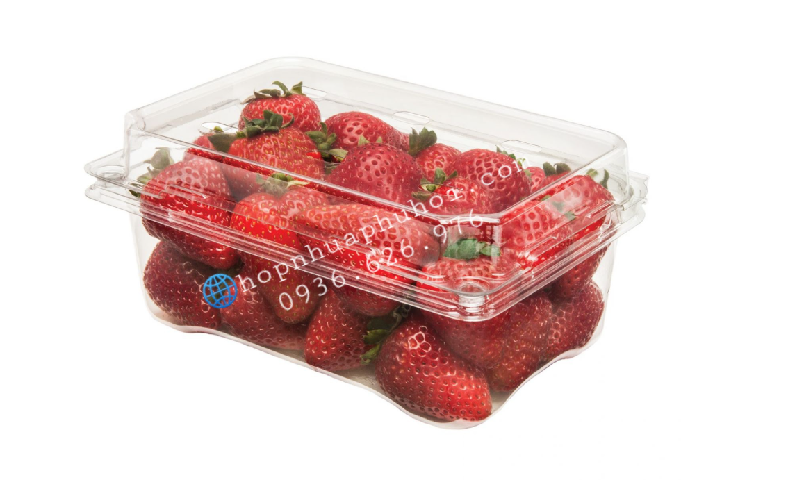 Hộp nhựa đựng trái cây 1kg P1000A