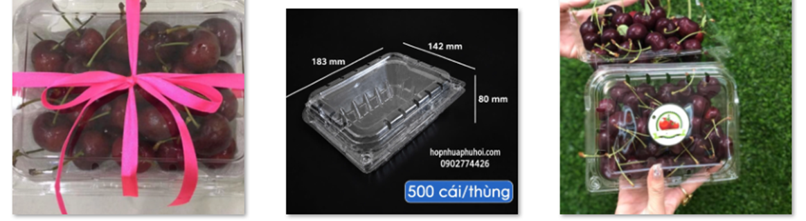 Hộp nhựa đựng việt quất