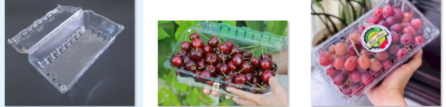 Hộp nhựa trái cây
