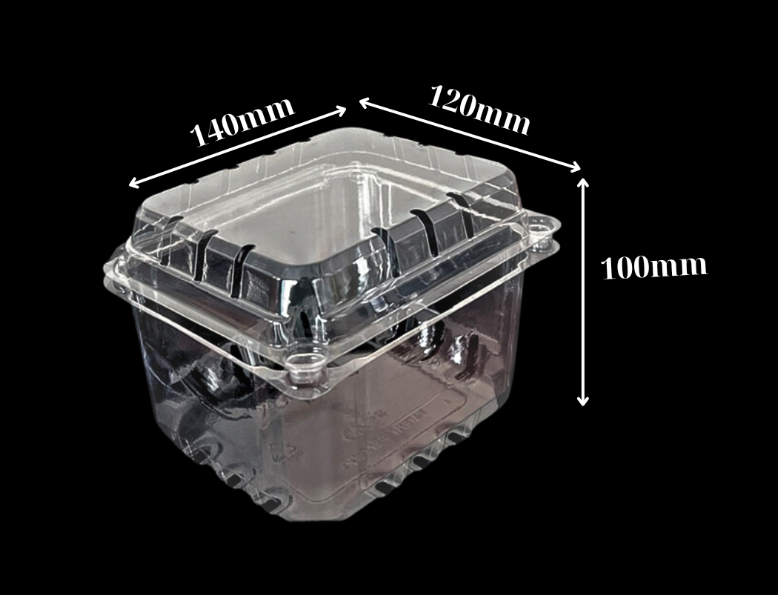 Hộp nhựa trái cây 0,5kg p500d tại tp hcm