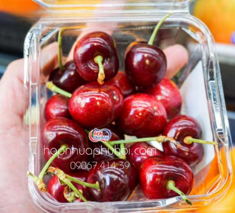 Hộp nhựa trái cây 0,5kg p500d tại tp hcm