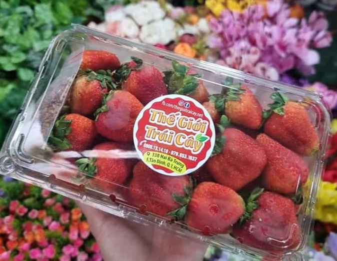 Hộp nhựa trái cây 1kg P1000A giá rẻ
