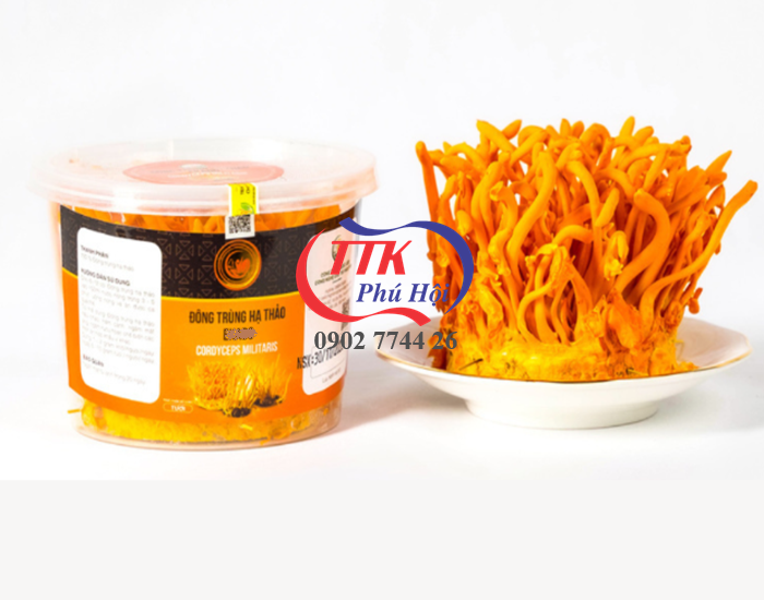 Hộp nhựa tròn đựng đông trùng hạ thảo