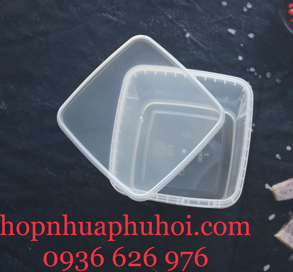 Hộp nhựa trong đựng đông trùng hạ thảo
