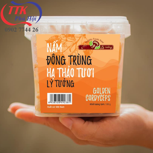 Hộp nhựa trong đựng đông trùng hạ thảo