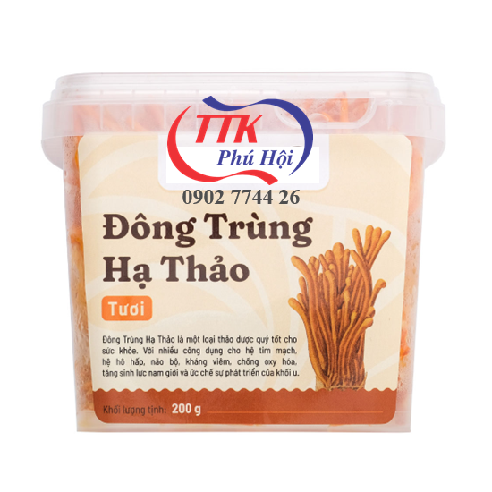 Hộp nhựa trong đựng đông trùng hạ thảo