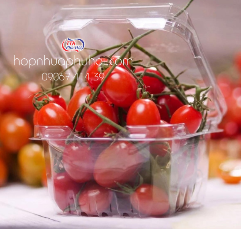 Hộp nhựa trong đựng trái cây 0,5kg