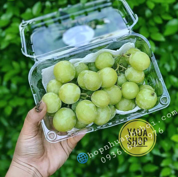 Hộp nhựa trong đựng trái cây 1kg giá rẻ