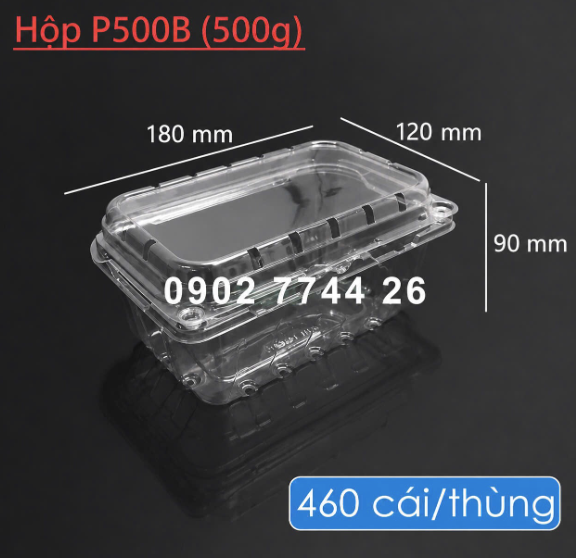 Hộp nhựa trong đựng trái cây P500B giá rẻ