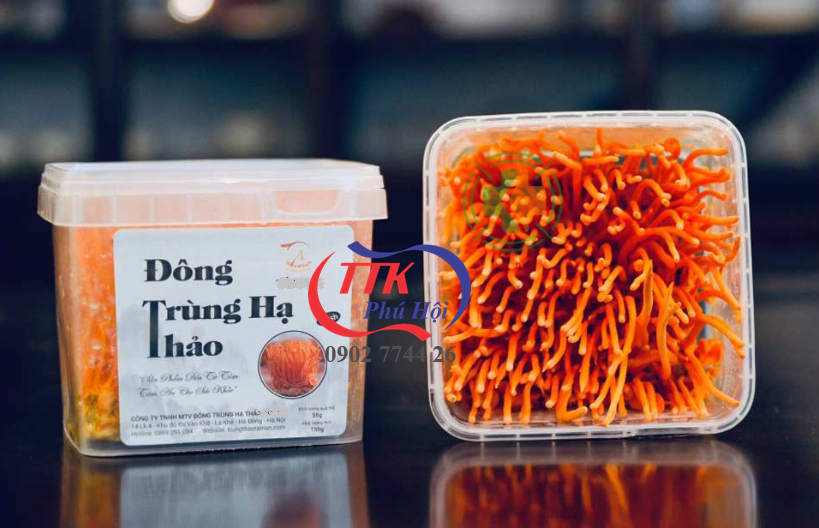 Hộp nhựa trưng bày đông trùng