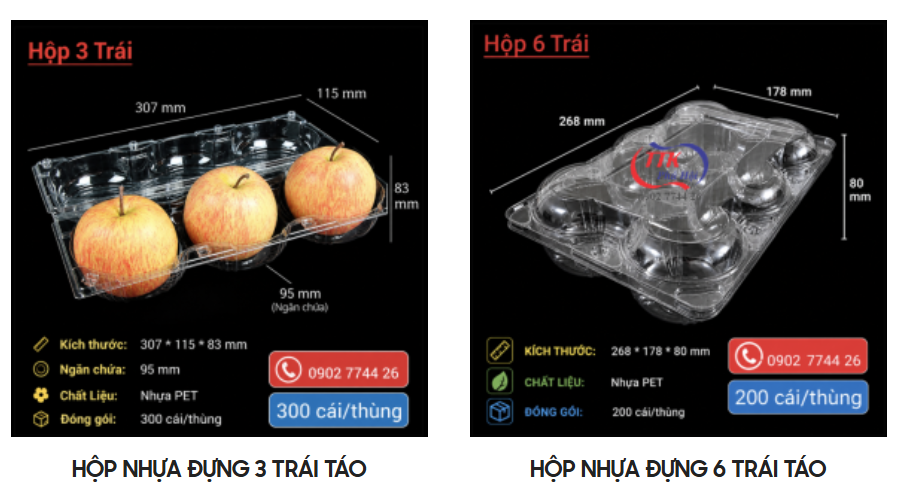 Hộp PET đựng trái cây