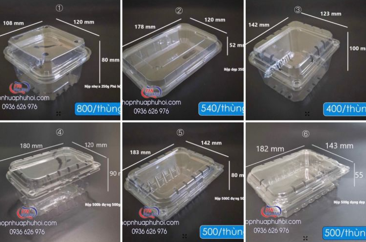 Hộp PET đựng trái cây P500B 500g tại Tp HCM