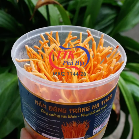 Hũ nhựa tròn đựng đông trùng hạ thảo