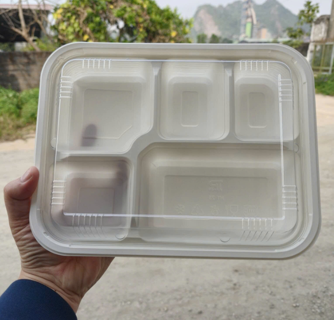 Khay nhựa đựng cơm 5 ngăn trắng