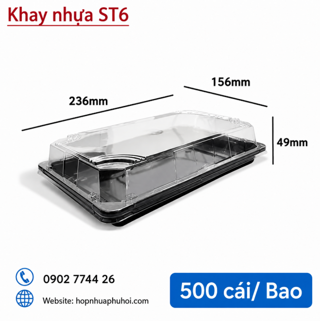 Khay nhựa đựng sushi, sashimi, hải sản, trái cây ST6