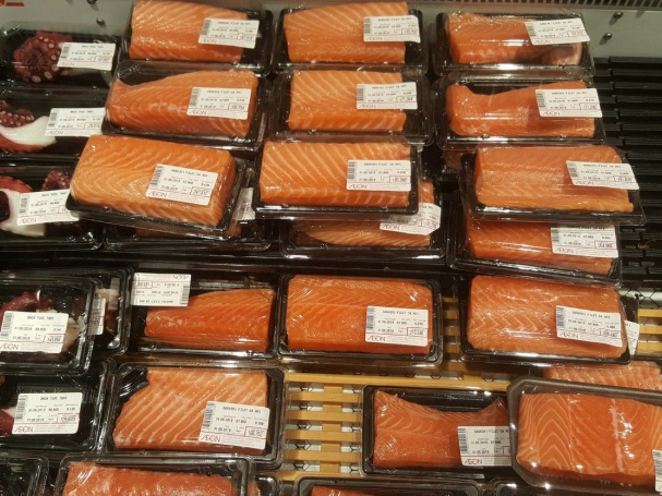 Khay nhựa đựng sushi, sashimi... ST1