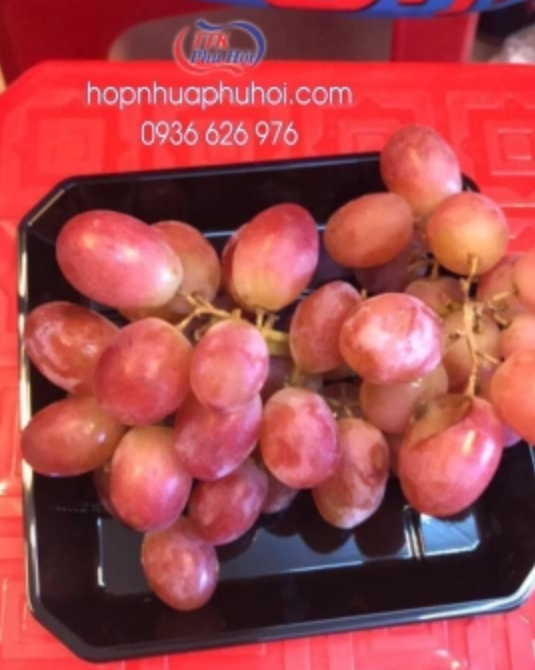 Khay nhựa đựng thức ăn, trái cây, bánh ngọt.. M10