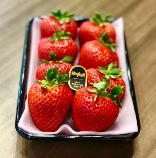 Khay nhựa thực phẩm