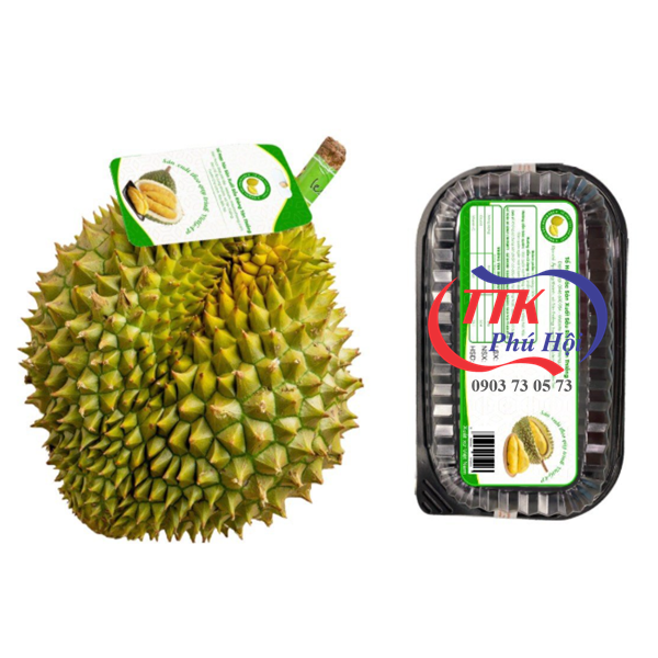 Mua hộp nhựa đựng sầu riêng ở đâu giá tốt?