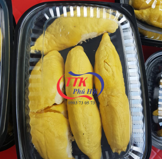 Mua hộp nhựa đựng sầu riêng ở đâu giá tốt?