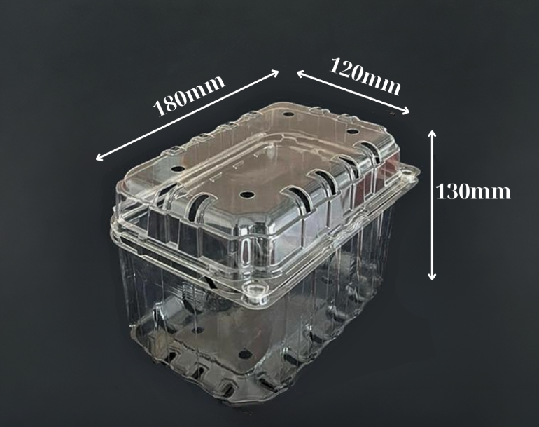 Mua hộp nhựa đựng trái cây 1KG P1000B