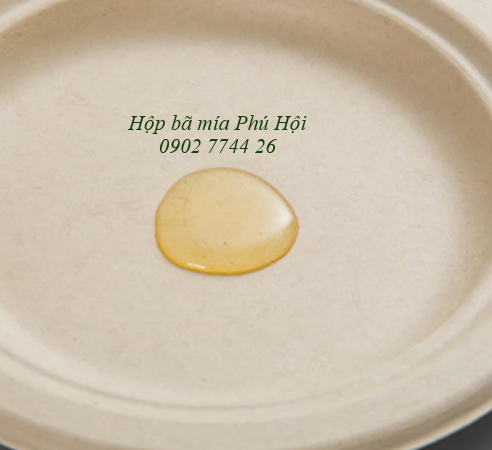 Đĩa bã mía phi  Ø 20.5*16mm tại Quận Tân Phú TP HCM