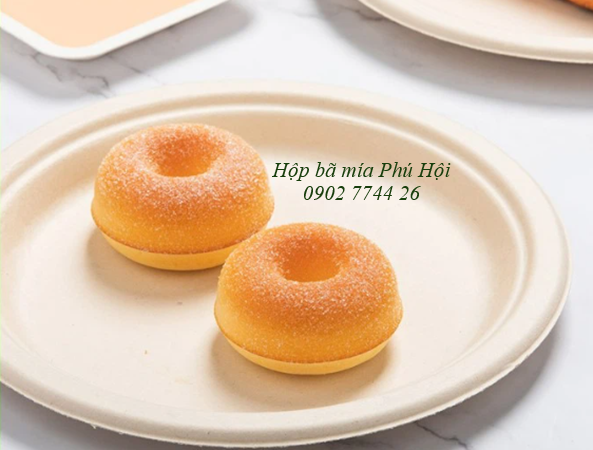 Đĩa bã mía phi  Ø 20.5*16mm tại Quận Tân Phú TP HCM