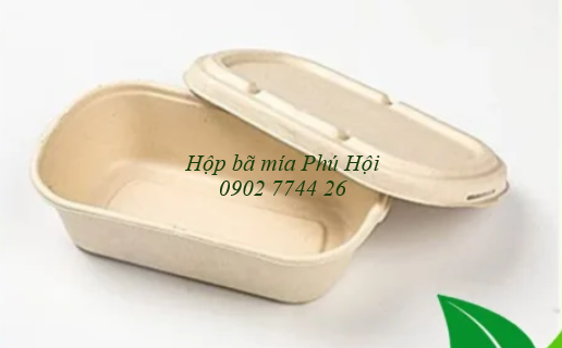 Hộp bã mía 1 ngăn nắp bã mía 700ml tại Quận 6 TP HCM