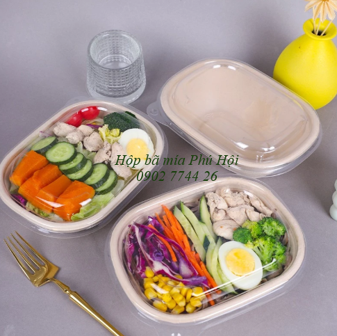 Hộp bã mía 1 ngăn to nắp nhựa PET 1100ml