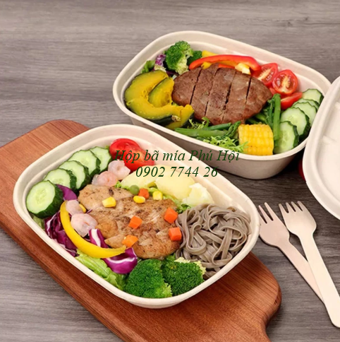 Hộp bã mía 1 ngăn to nắp nhựa PET 1100ml
