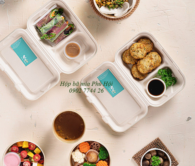 Hộp bã mía 2 ngăn nắp liền 800ml