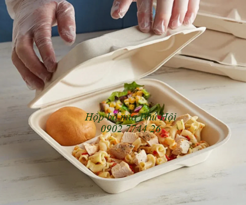 Hộp bã mía 3 ngăn nắp liền tại Quận Thủ Đức TPHCM