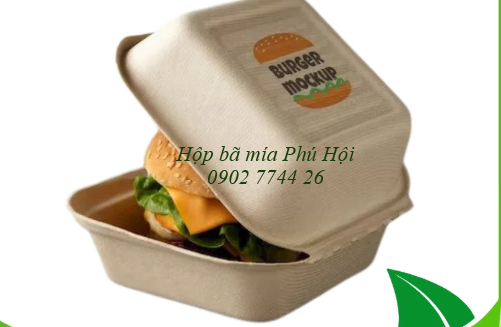 Hộp bã mía vuông đựng hamburger tại Quận 1 TP HCM