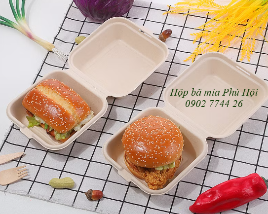 Hộp bã mía vuông đựng hamburger tại Quận 1 TP HCM