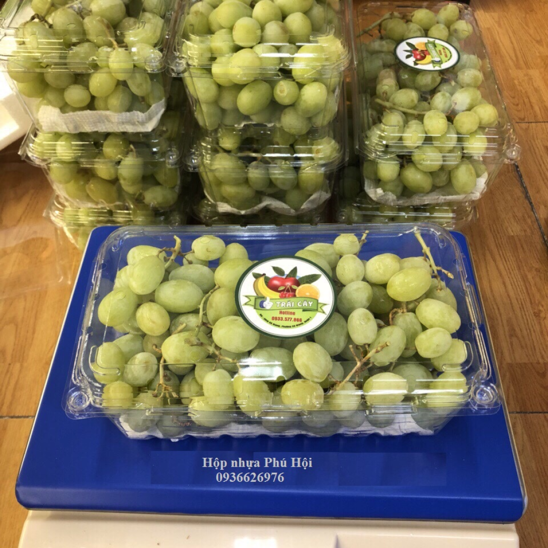 HỘP NHỰA ĐỰNG TRÁI CÂY 1KG P1000A