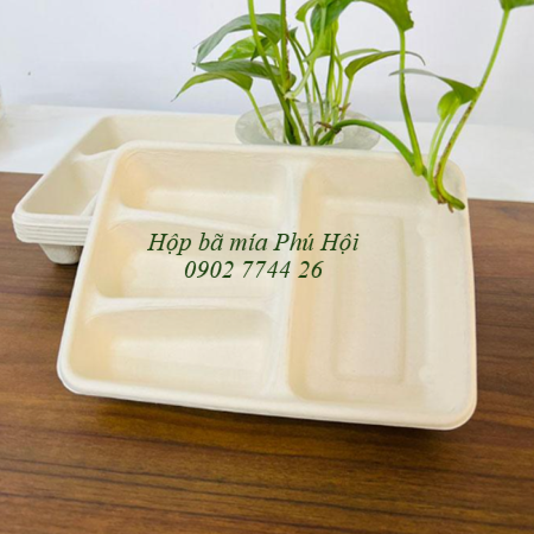 Hộp bã mía 4 ngăn nắp PET tại Quận Bình Tân TP HCM