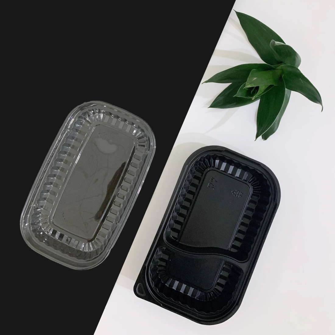 HỘP NHỰA ĐỰNG CƠM 2 NGĂN HT17